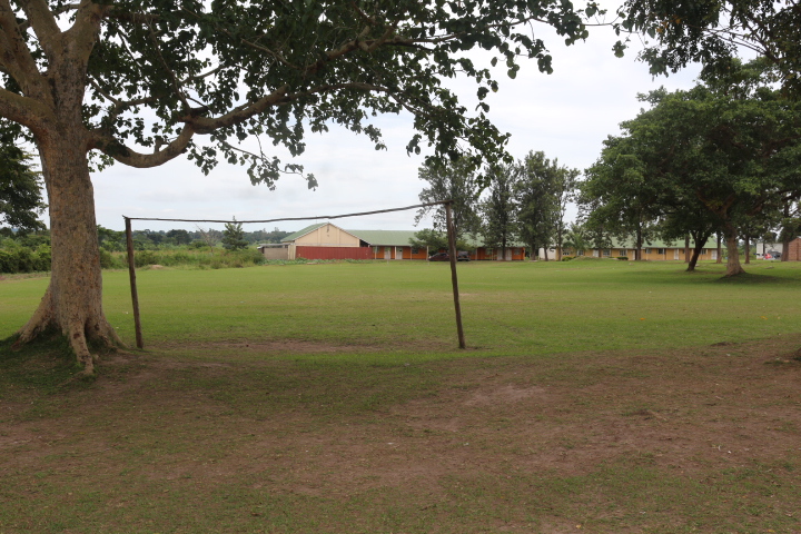 Classroom activities